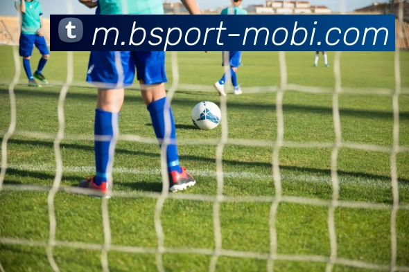 B体育APP 封面图